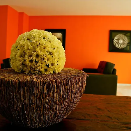 Отель Nazaret Sol